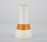 Skincare που συσκευάζει τον καλλυντικό cOem βάζων κρέμας μπουκαλιών γυαλιού 120ml MSDS